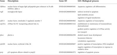 MiR-202-3p determines embryo viability during mid-blastula transition